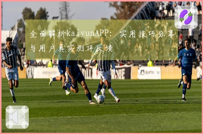 全面解析kaiyunAPP：实用技巧分享与用户真实测评反馈