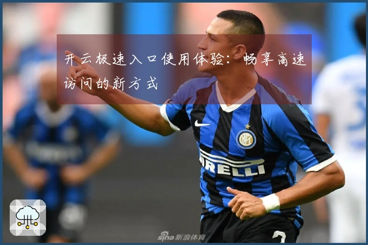 开云极速入口使用体验：畅享高速访问的新方式
